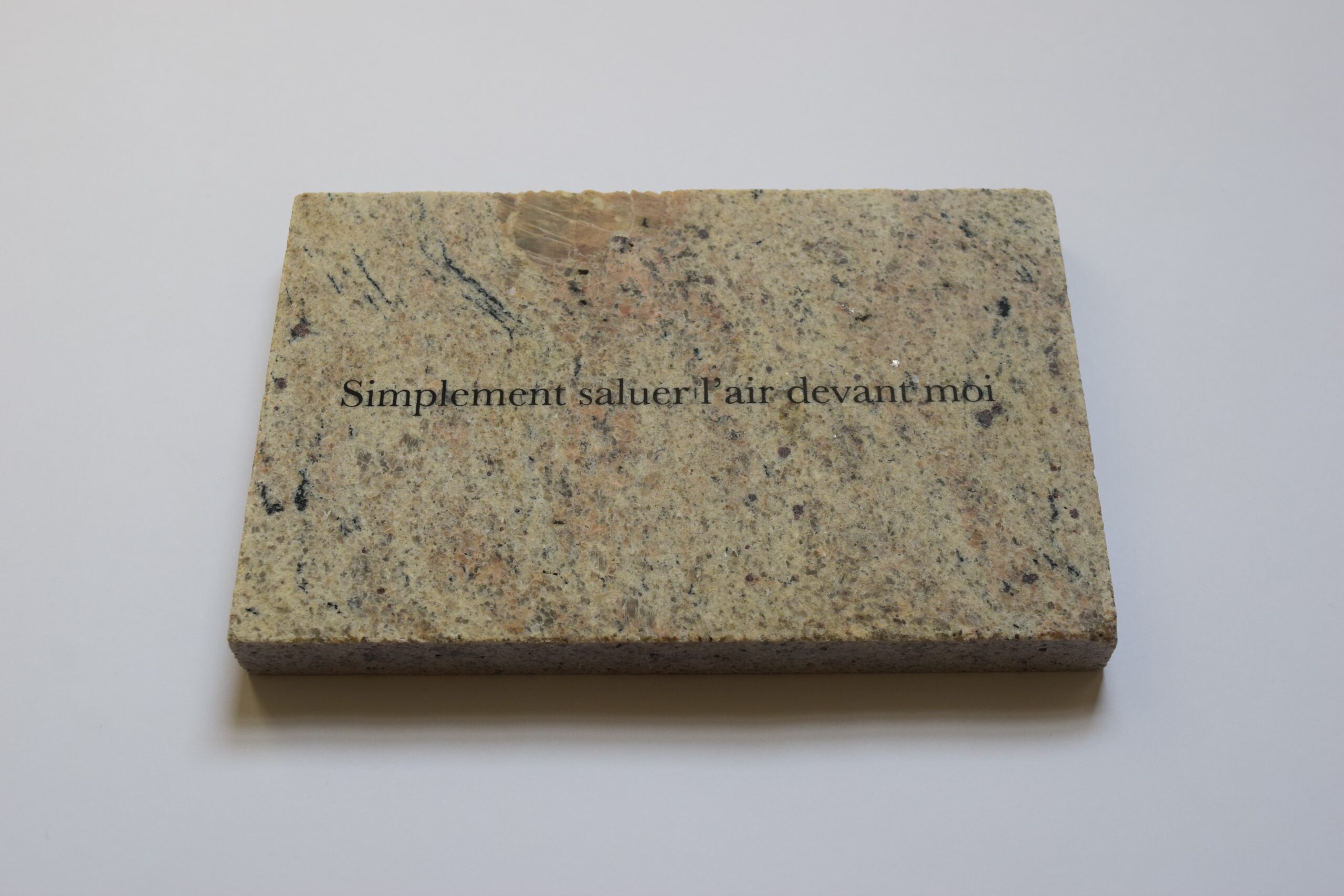 Epitaphe pour vivant
