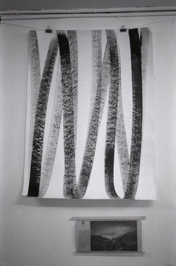 Lignes